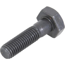 Carraro Screw  140259