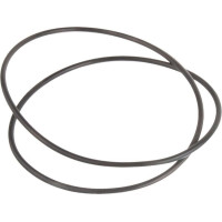 Carraro O-ring  028498