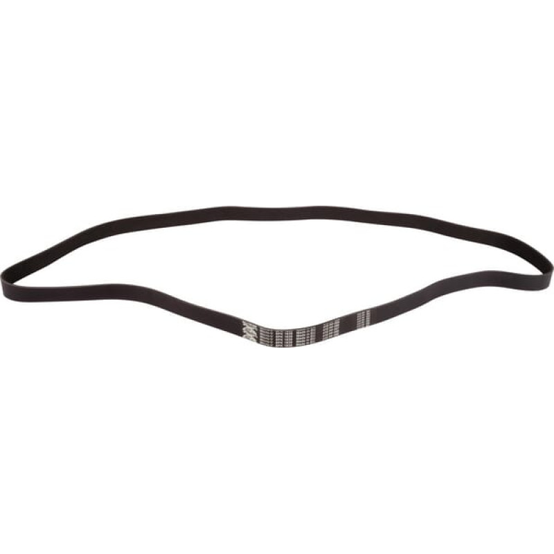 Carraro V-belt  198317