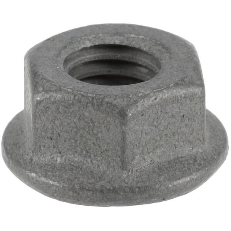 ZF Sealing nut  0637011528