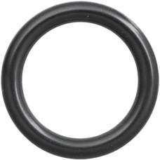 Carraro O-ring  028114