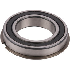 Carraro Bearings  148041