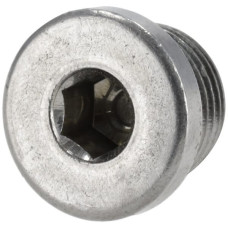 ZF Screw plug  0636302014