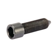 Carraro Screw M12x40  139936