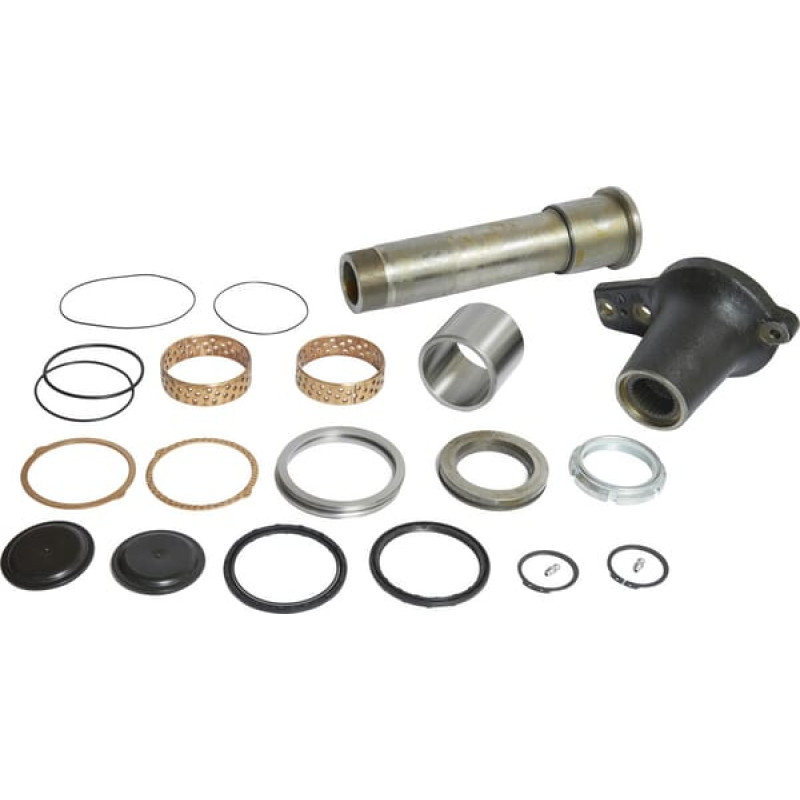 Carraro Seals kit  068945