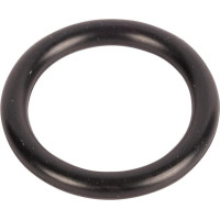 Carraro O-ring  028514