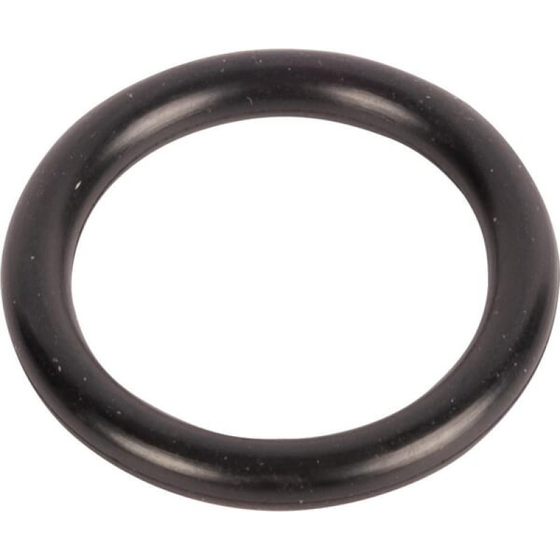 Carraro O-ring  028514