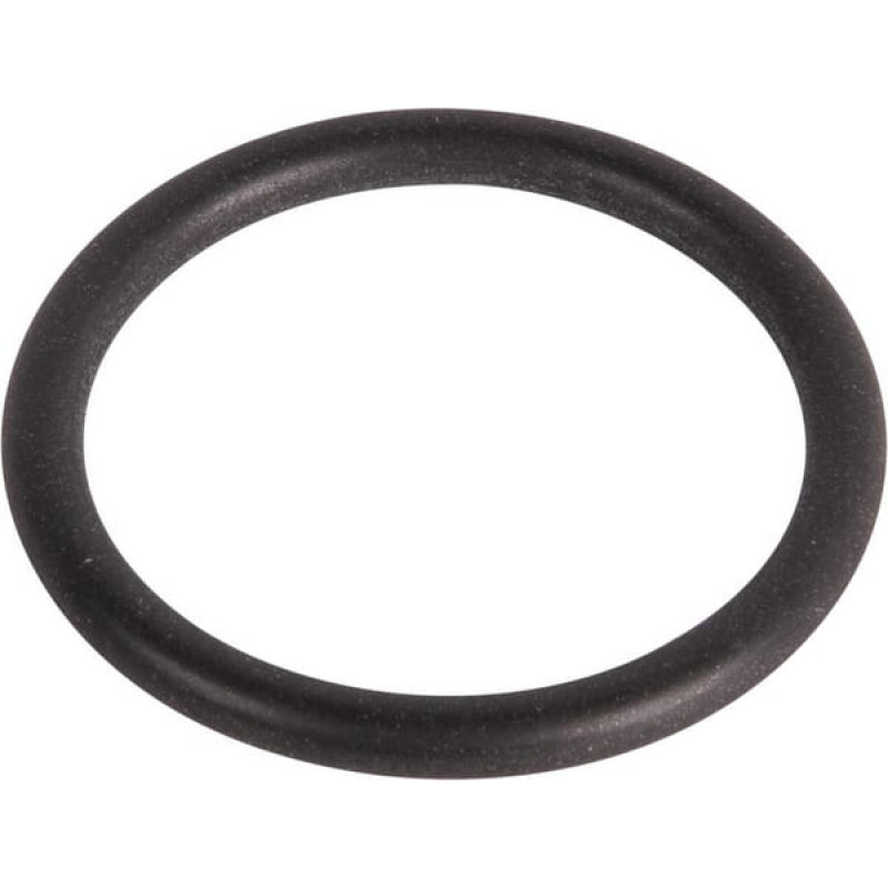 ZF O-ring  0634303848