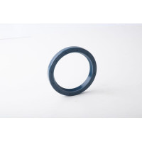 Carraro Oil seal  025246