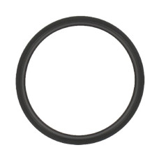 John Deere Thermostat gasket  R521548