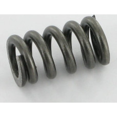 Walterscheid Outer spring  660104