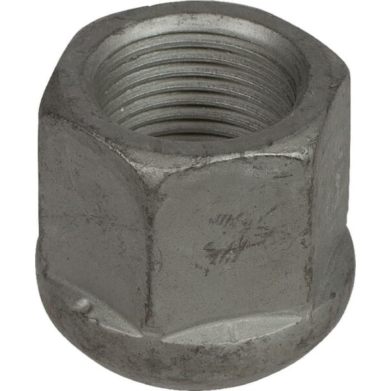 Lemken Wheel nut M18x1,5 SW24  3036416