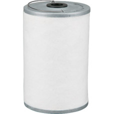 Donaldson Fuel filter  P502131