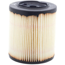 Donaldson Fuel filter  P552044