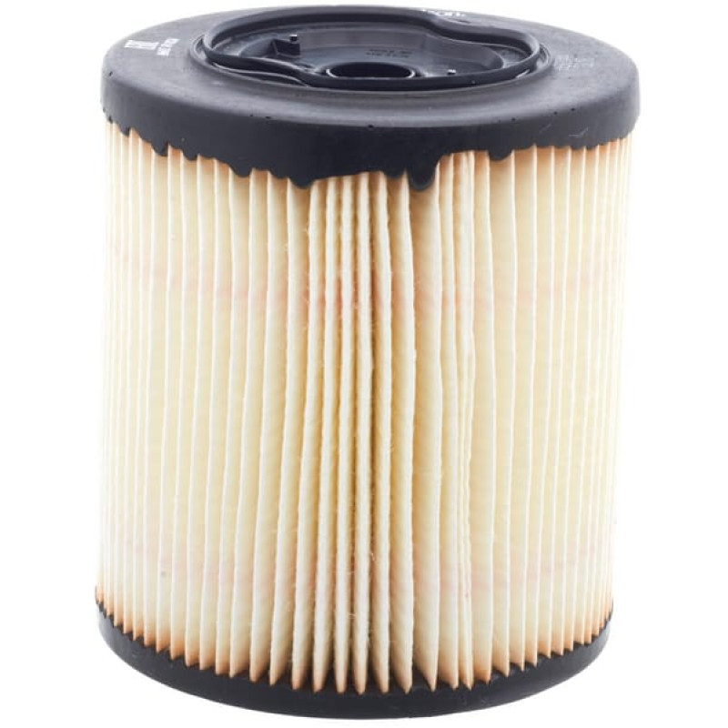 Donaldson Fuel filter  P552044