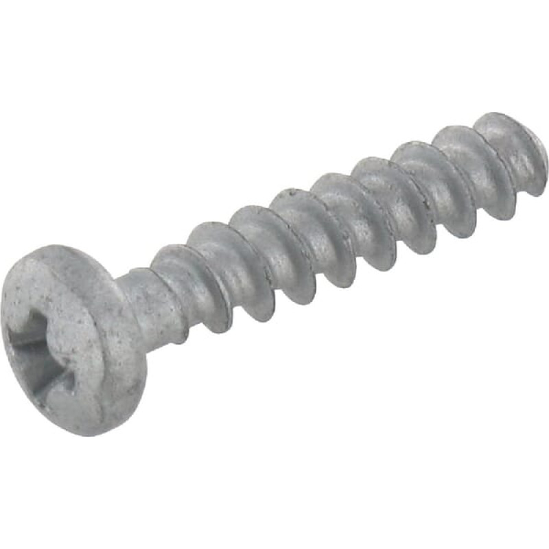 Lemken Self-tapping screw for plastic  3010064