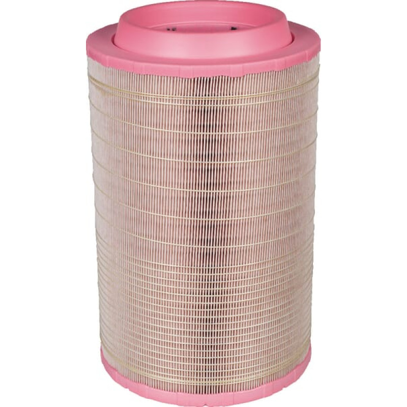 Mann-Filter Gaisa filtrs elements C258605