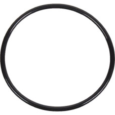 Massey Ferguson (Agco) Thermostat Gasket  4222848M1