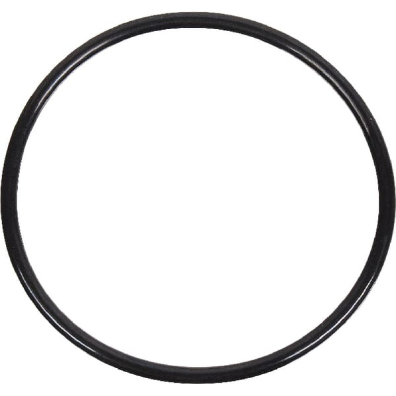 Massey Ferguson (Agco) Thermostat Gasket  4222848M1