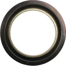 Massey Ferguson (Agco) Oil Seal  4305912M1