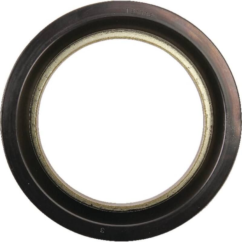 Massey Ferguson (Agco) Oil Seal  4305912M1