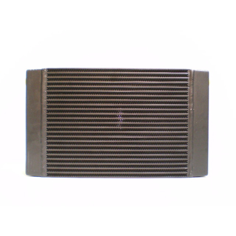 Eļļas radiators DZ3026