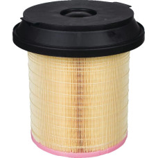 Mann-Filter Air filter element  C29010KIT