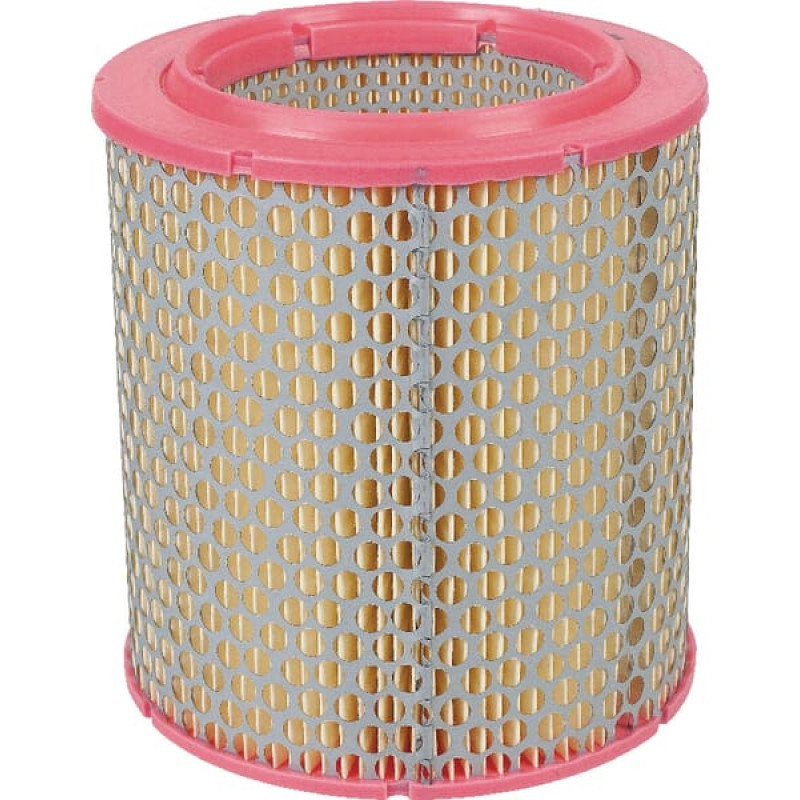 Mann-Filter Air filter element  C17129