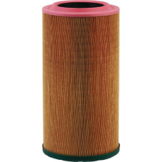 Mann-Filter Air filter element  C19450