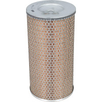 Mann-Filter Air filter element  C17250
