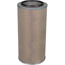 Mann-Filter Air filter element  C246501