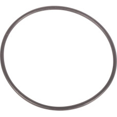 Massey Ferguson (Agco) Gasket  3007077X1