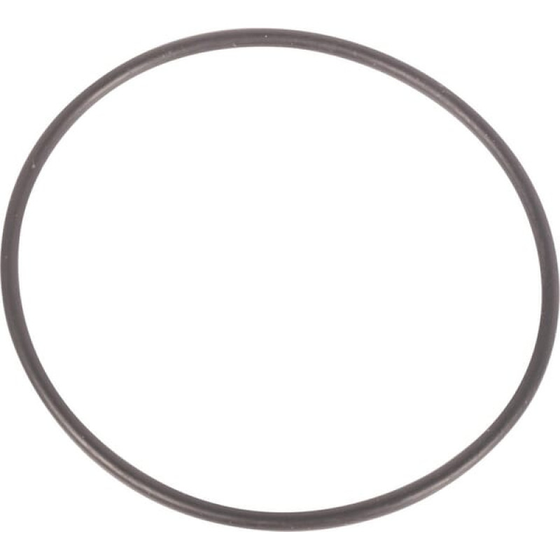 Massey Ferguson (Agco) Gasket  3007077X1