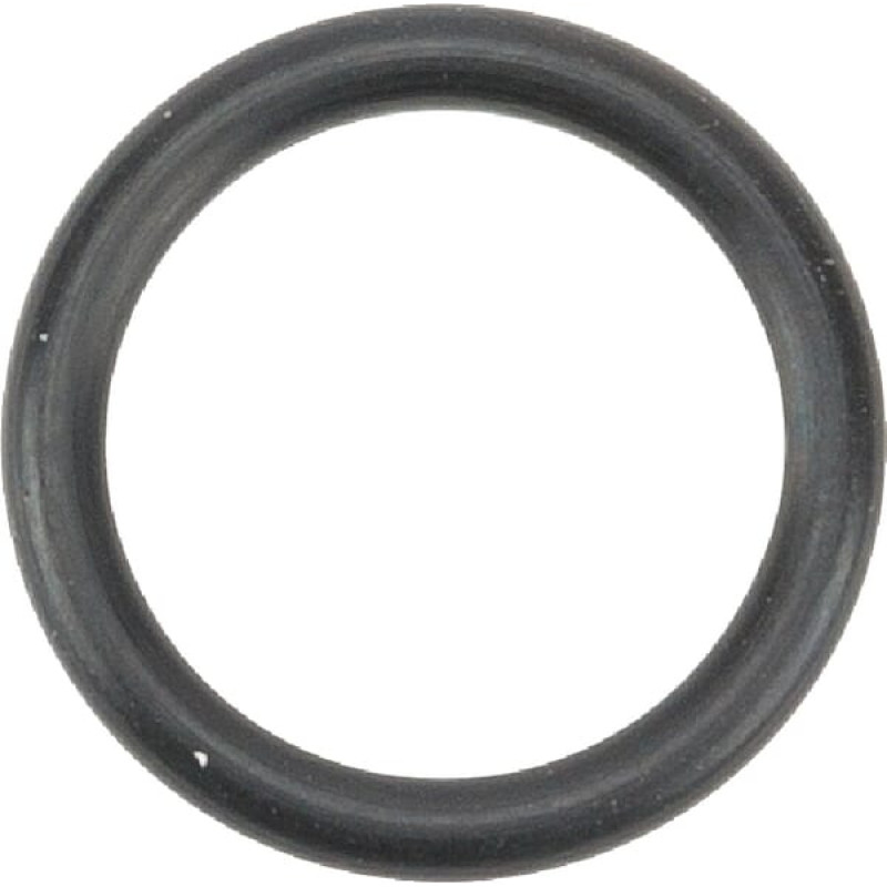 Massey Ferguson (Agco) Brake O Rings  377494X1