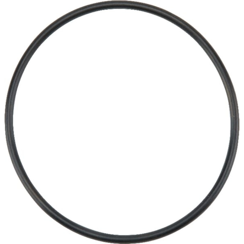 Massey Ferguson (Agco) Fuel Pump Gasket  4222834M1