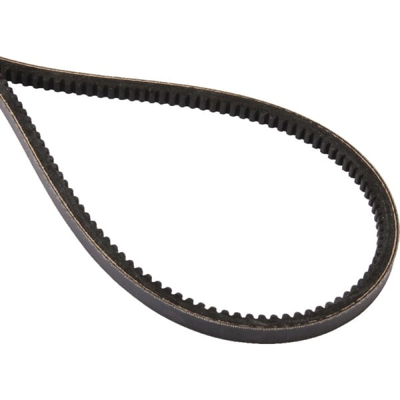 Massey Ferguson (Agco) V-belt  3381364M91