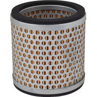 Mann-Filter Air filter element  C891