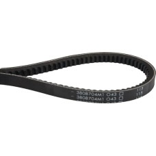 Massey Ferguson (Agco) V-belt  3808704M1