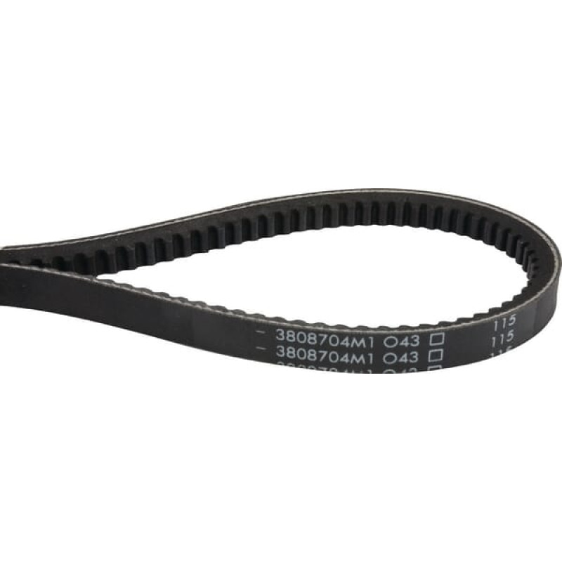 Massey Ferguson (Agco) V-belt  3808704M1