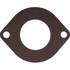 Massey Ferguson (Agco) Thermostat Gasket  3641766M1