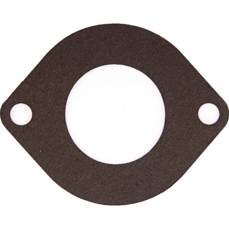 Massey Ferguson (Agco) Thermostat Gasket  3641766M1