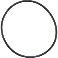 Massey Ferguson (Agco) Thermostat Gasket  4223842M1