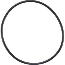 Massey Ferguson (Agco) Thermostat Gasket  4223842M1