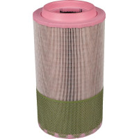 Mann-Filter Air filter element  C25990