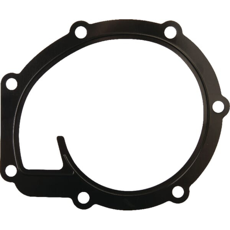 Massey Ferguson (Agco) Water pump gasket  4225204M1