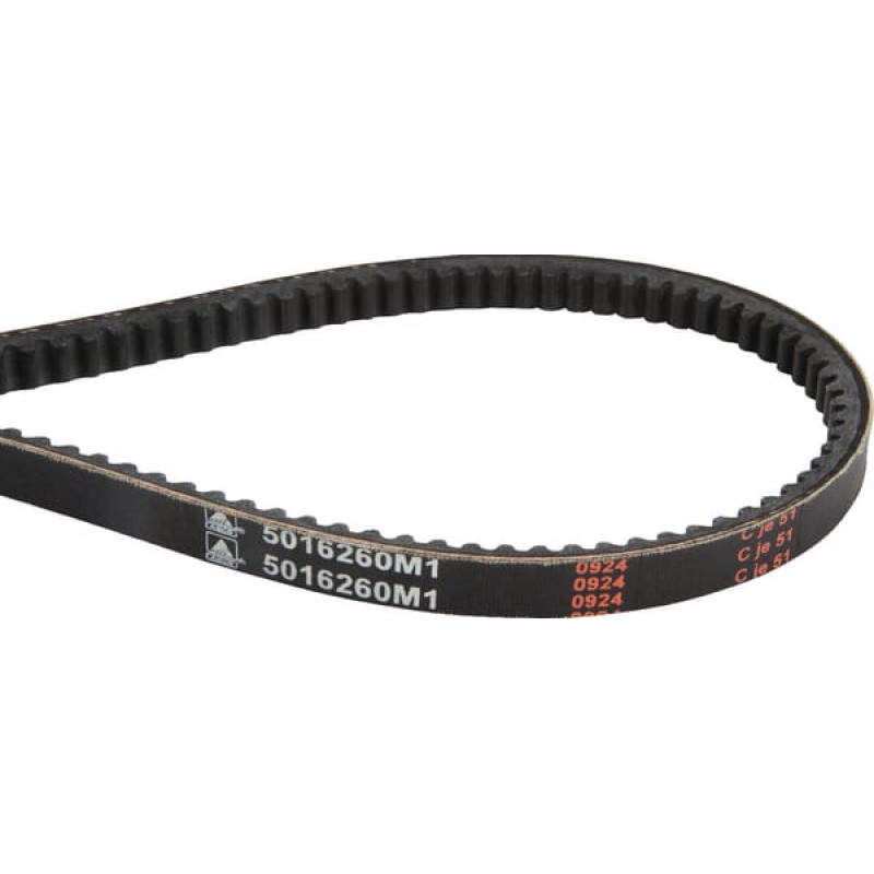 Massey Ferguson (Agco) V-belt  5016260M1