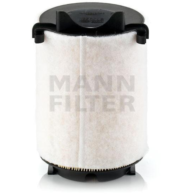 Mann-Filter Air filter  C141301