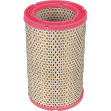 Mann-Filter Air filter element  C1134