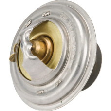 Massey Ferguson (Agco) Thermostat  4224624M1