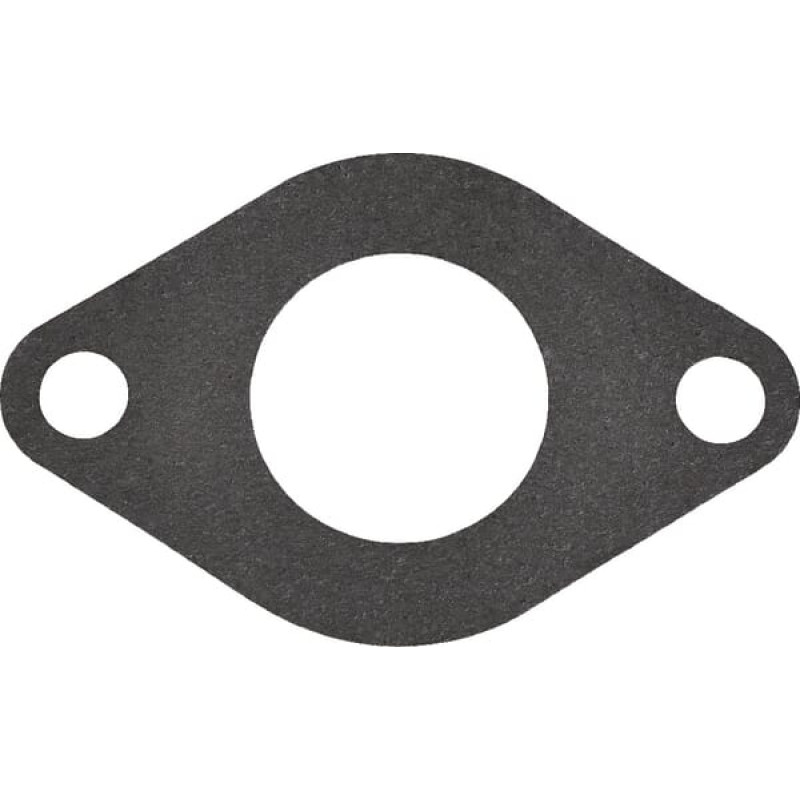 Massey Ferguson (Agco) Water pump gasket  3638698M1